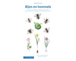 Minigids - Bijen en hommels set 3 ex