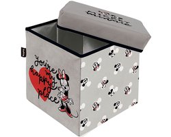 Minnie Mouse Opbergkruk 30x30x30 Cm Transparant