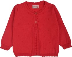 Minora Baby Gebreid Vest - Baby kleding jongens en meisjes- Hoogwaardige Baby vest- Kraamcadeau - Warm & stijlvol babyvest – Perfect voor Sinterklaas of kraamcadeau- 3/6 Maanden Rood