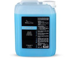 Mint Fresh Cooling shampoo - Beauty & Care - 5 L. new