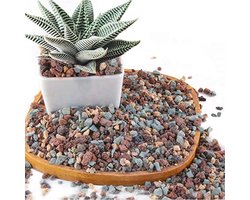 Mix Tuinbouw Lava Rock - Kiezels en Puimsteen voor Potgrond, Succulente, Cactus en Bonsai