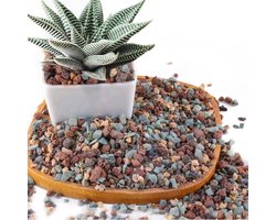 Mix Tuinbouw Lava Rock - Kiezels en Puimsteen voor Potgrond, Succulente, Cactus en Bonsai