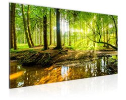 Modern Fleece Canvas Schilderij Woud Landschap voor Huiskamer