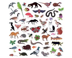 Modern Nature - Island Of Noise (CD)