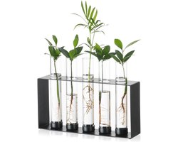 Moderne Glazen Terrarium Vaasje met 5 Proefbuisjes voor Hydrocultuur Planten - Zwart Desktop Vaas voor Thuis en Kantoor Decoratie