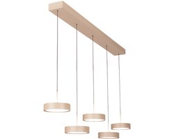 Moderne hanglamp Alieno | Eettafellamp | 5 lichts | zandkleur | metaal | 160 cm hoog | dimbaar | katrolsysteem ; eenvoudig verstelbaar in hoogte | eetkamer / woonkamer lamp / werkkamer | modern / sfeervol / romatisch design