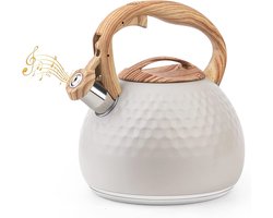 Moderne Inductie Waterkoker met Fluitfunctie - 3L RVS Theeketel voor Alle Kookplaten