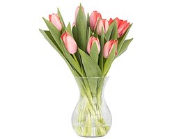 Moderne Luminous Tulpenvaas van Glas - 18 cm Transparant, Diameter 11 cm, Ideaal voor Binnenshuis