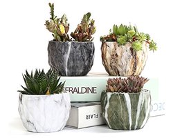 Moderne Marmeren Keramische Bloempot voor Vetplanten en Cactussen - Set van 4