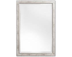 Moderne Spiegel 50x110 cm Grijs - Delilah