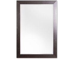 Moderne Spiegel 72x102 cm RVS - Anna