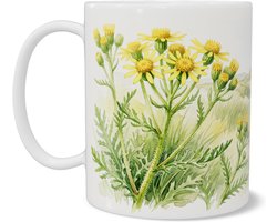 Mok Aquarel Series duinlandschap kleverig kruiskruid Senecio viscosus zandpad illustratie natuurliefhebber botanisch cadeau kantoor thuiswerkplek of woonkamer sfeervol Hollands landelijk rustgevend strand flora bloemenontwerp
