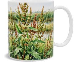 Mok Aquarel Series Moeraszuring Rumex Palustris Polder Hollands Landschap Botanische Illustratie Koffiemok Thee Beker Natuur Cadeau Collega Botanicus Vriendin