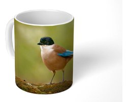 Mok - Koffiemok - Ekster - Vogel - Mos - Mokken - 350 ML - Beker - Koffiemokken - Theemok