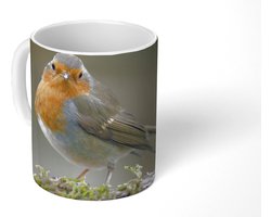 Mok - Koffiemok - Roodborstje - Water - Mos - Mokken - 350 ML - Beker - Koffiemokken - Theemok