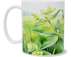 Mok Kruisbladwolfsmelk Aquarel Series - Groene architecturale plant in fris weidelandschap - Cadeau voor tuinliefhebber en botanicus - Opvallende florale natuurtekening voor op bureau of tijdens theepauze