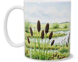 Mok met donkere knotszegge in een Hollands moeraslandschap. Aquarel Series illustratie van draslanden en waterwegen. Botanisch cadeau voor wandelaars en liefhebbers van rustige natuurmomenten en theepauzes.