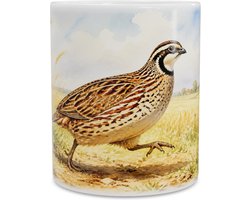 Mok met kwartel dwalend door zonnig graanveld vol weidebloemen - Nostalgische aquarel natuurprint in boerenlandschap - Sfeervol cadeau voor vogelspotters en buitenmensen