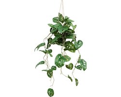 Monstera Monkey Bush Kunst Hangplant 95cm | Hangende Kunstplant | Kunstplant voor Binnen | Neppe Hangplant