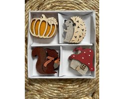 Mooie houten / Vilt Herfst figuren - Herfstdecoratie - Label - Cadeau versiering - Autumn - Bosdieren - Bos dier - Eekhoorn - Egel - Paddestoel - Pompoen | Decoratie hout Herfsttakken - Hanger | Peuterspeelzaal - School - Kinderopvang - DH collection