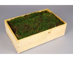 Mos in Houten Kist
