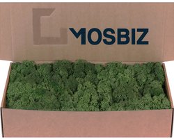 MosBiz Rendiermos Mosgroen per 500 gram voor decoraties, mosschilderijen en bloemstukjes