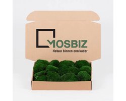MosBiz|Bolmos| Dark Green| 0,1m2 | Decoraties| Schilderijen| Mos wanden| 500gram