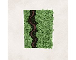 Mosschilderij - Rendiermos wanddecoratie- Mos wanddecoratie - Mos decoratie 30X40cm