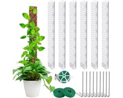 Mosstaaf 6 stuks - Transparant - 61 cm - Klimhulp voor Monstera - Doe-het-zelf met grondpennen, klittenbandsluitingen en banden - Klimhulp mosstok