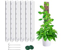 Mosstok voor Planten - 6 Stuks - 61cm - Plantenstok - Geschikt voor Monstera Deliciosa, Klimplanten voor Binnen, Transparante Plantensteun