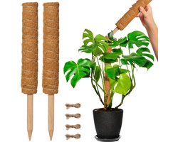 Mosstok voor Planten - Verlengbaar tot 80cm - Plantenstok - Plantensteun - Perfect voor Monstera, Pothos en Meer - 2x50 cm - Inclusief Juten Touw