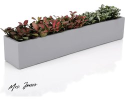 Mrs. Jones 145-Inch Grijze Ongeglazuurde Rechthoek Concrete Succulente Planter Vensterbank Dozen - Tuindecoratie, Plantenbak - Extra Groot .