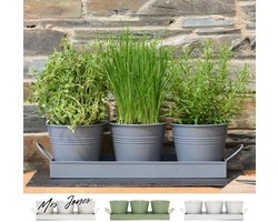 Mrs. Jones Kamerplanten Dienblad Set van 3 - Kruidenpot Kweek verse kruiden thuis plantenbakken vensterbank keuken voor basilicum munt peterselie bloemen metaal - houtskoolgrijs .