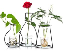 Mrs. Jones Set van 3 creatieve desktop plantenbakken set met glazen beker vazen en ijzeren metalen standaard voor water planten bloemschikking decoratie cadeau voor thuis bruiloft tafelstukken decor (3 - desktop plantenbakken, glazen vazen) .