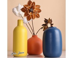 Mrs. Jones Vaas Set van 3 Kleine Bloemenvazen voor Rustieke Woondecoratie Moderne Boerderijdecoratie - Woonkamerdecoratie Plankdecoratie Tafel Boekenplank Schoorsteenmantel en Ingangsdecoratie .