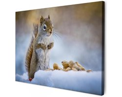 MuchoWow© Canvas Schilderij 70x50 cm Kamer Muur Decoratie Woonkamer Slaapkamer Room Decor Wall Decoration Art Painting Eekhoorn - Noten - Sneeuw - Winter - Knaagdieren - Seizoenen