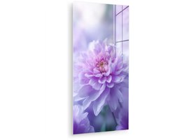 MuchoWow® Glasschilderij 20x40 cm - Schilderij acrylglas - Paars - Dahlia - Dromerig - Foto op glas - Muurdecoratie woonkamer - Wanddecoratie slaapkamer - Schilderijen