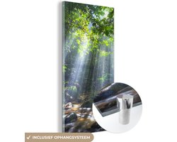 MuchoWow® Glasschilderij 20x40 cm - Schilderij acrylglas - Zonnestralen dringen door de bomen het regenwoud in Maleisië binnen - Foto op glas - Schilderijen