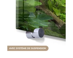 MuchoWow - Glasschilderij - Schilderij glas - Jungle - Rivier - Boom - Groen - Stenen - Foto op glas - Acrylglas - Schilderijen woonkamer - 90x60 cm - Wanddecoratie - Muurdecoratie