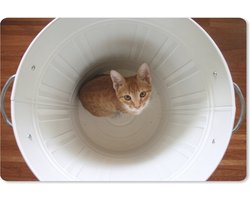 Muismat Katten  - Kat in prullenbak muismat rubber - 60x40 cm - Muismat met foto