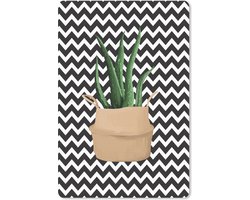 Muismat - Mousepad - Kamerplanten - Aloë Vera - Bloempot - 18x27 cm