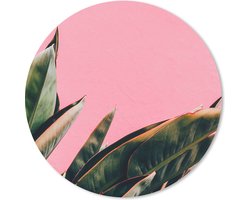 Muismat - Mousepad - Rond - Planten - Bladeren - Vrouwentong - Roze - Tropisch - 40x40 cm - Ronde muismat