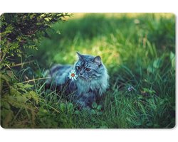 Muismat XXL 120x80 cm - Bureau onderlegger - Bureau mat Grijze kat - Bureaumat - Gaming mousepad xl - Bureaulegger groot - Computer deskmat