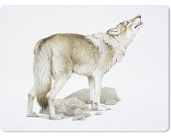 Muismat XXL - Bureau onderlegger - Bureau mat - Wolf - Stenen - Wit - 80x60 cm - XXL muismat