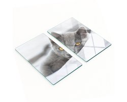 Multifunctionele decoratieve keukenplanken van gehard glas met grijze kat, 2x30x52 cm