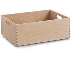 Multifunctionele Kist - Beuken Gelakt - 40 x 30 x 15 cm