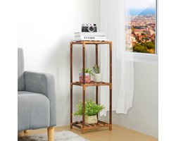 Multifunctionele Plantenstandaard - 3 Niveaus - Geschikt voor Binnen en Buiten