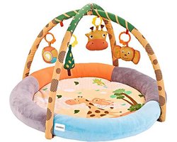 Multifunctionele Speelmat Baby met Boog – Babygym & Ballenbak met Dikke Pluchen Randen- vanaf 0+ maand