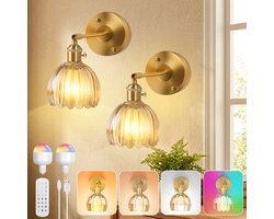 MUPOO Wandlamp binnen oplaadbaar Tulpvorm met afstandsbediening 2 in 1 draadloze/bedraad–Hotel Chique Amber Glas LED wandlampen dimbaar–3 lichtkleuren+RGB -Timer -zonder bedrading-sfeervolle Nachtlampje wand voor slaapkamer,café,restaurant- 2 stuks