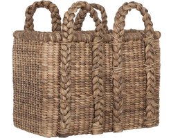 Must Living Langwerpige Mand Colony Hoog